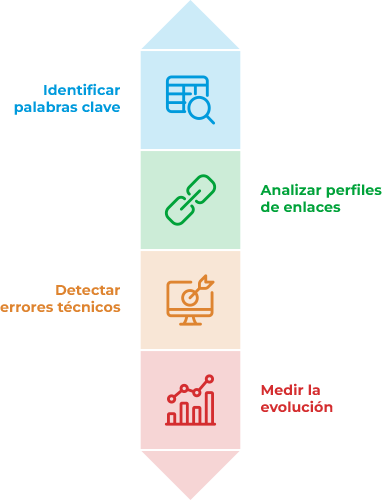 Herramientas profesionales SEO